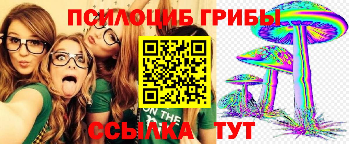 Кинель  Галлюциногенные грибы прущие грибы  Галлюциногенные грибы мухоморы  Вход с VPN 
