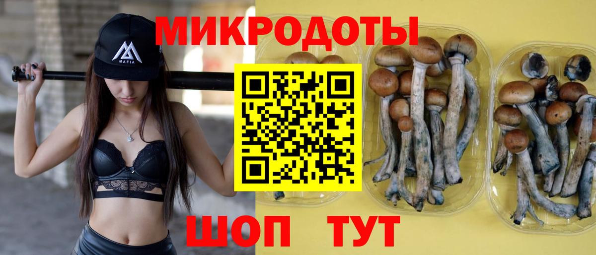 Галлюциногенные грибы MAGIC MUSHROOMS Кинель